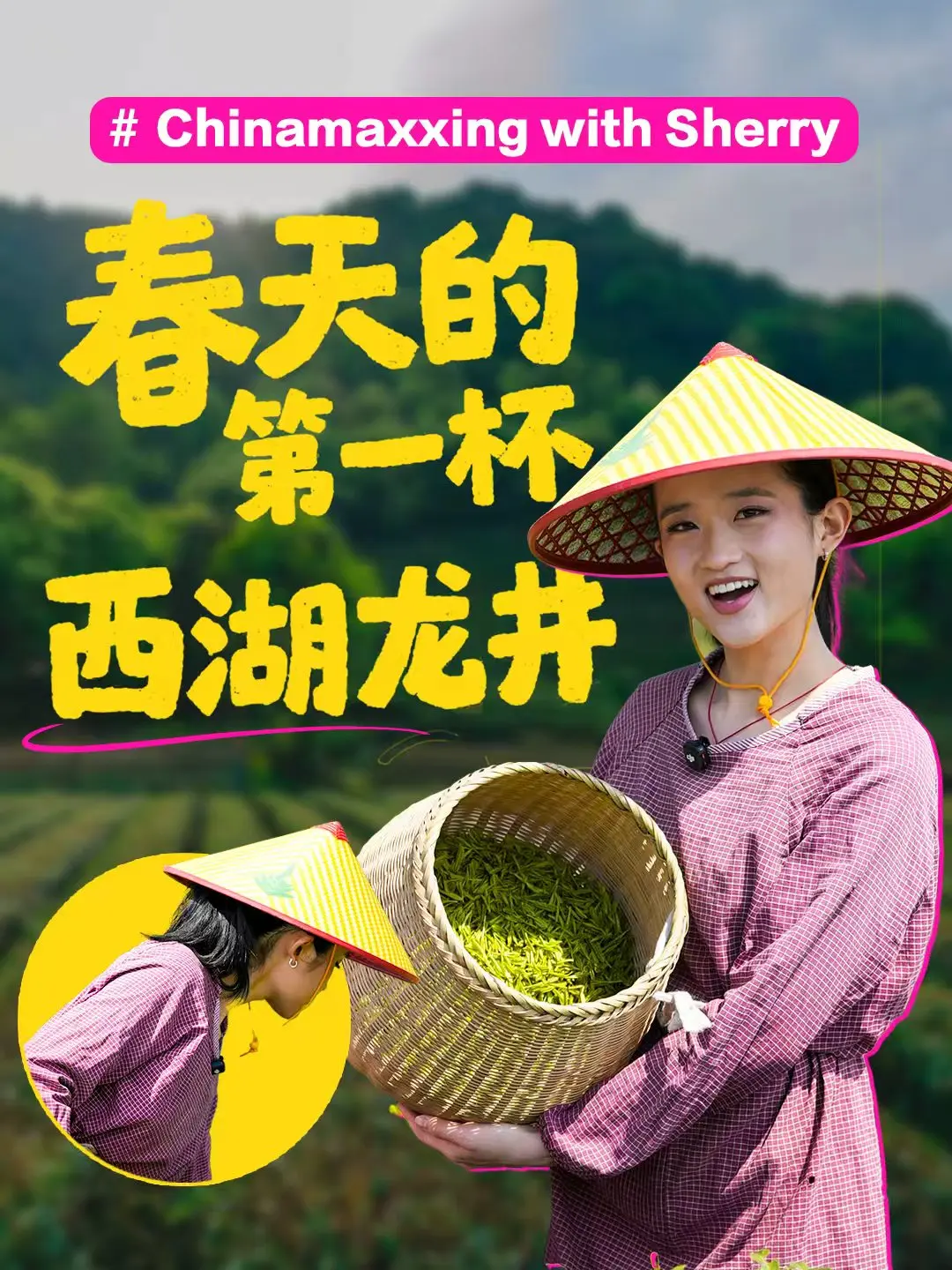 图片[1]-“成为中国人”潮流发起人体验西湖龙井-华闻时空