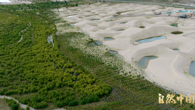 中国电视-《山水工程——中国生态保护修复》：看见生态治理的整体力量-华闻时空