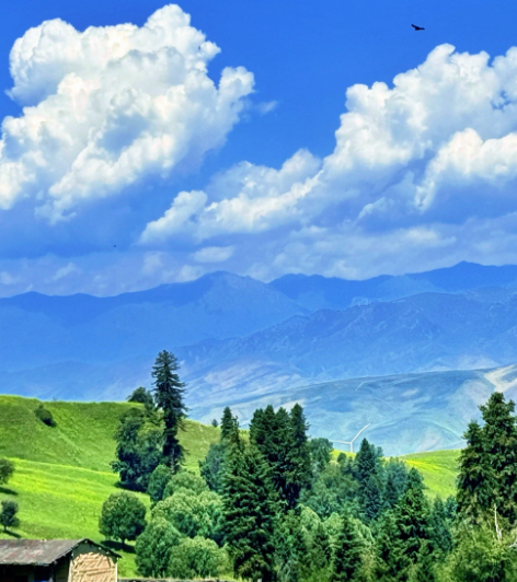 一声“谢谢”后的空白是想象的深渊——读冰凌幽默小说《骚扰电话》-华闻时空