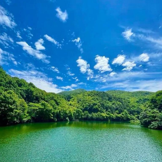 《老姜评职称》的荒诞感精准剖开了形式主义评审的虚伪内核-华闻时空