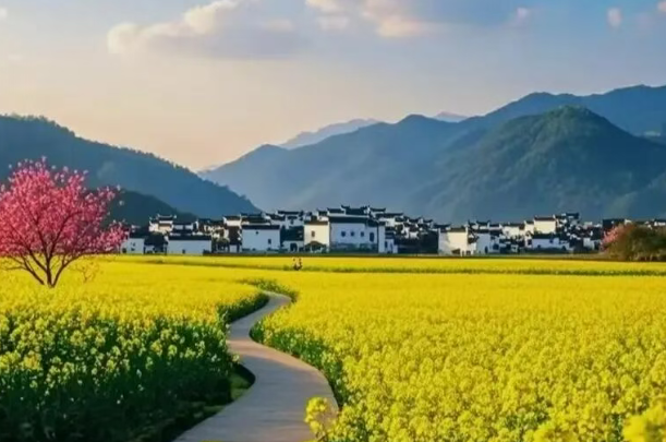 桂清扬：长沙散记（外一题）-华闻时空