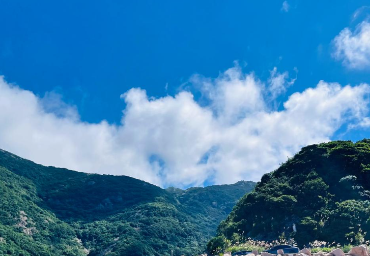 姜敏达诗歌欣赏：四月-华闻时空