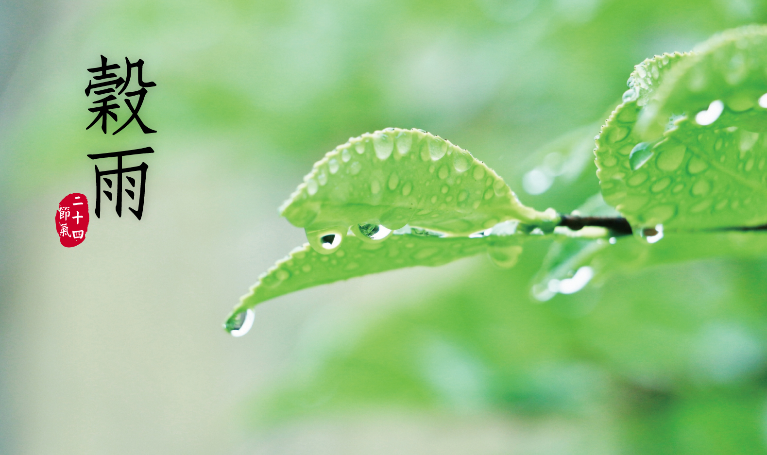 晓霞：《谷雨时节》-华闻时空