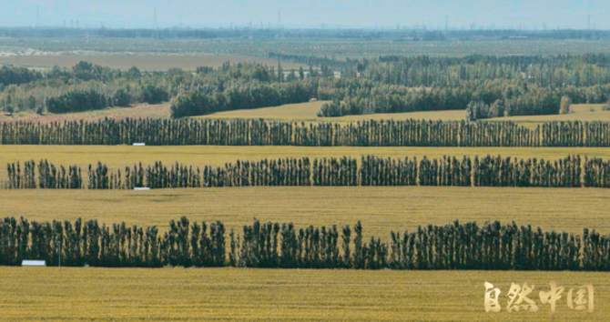 中国电视-《山水工程——中国生态保护修复》：看见山河复苏的新质动能-华闻时空