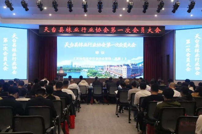 袜塞！正式“抱团出道”啦-华闻时空