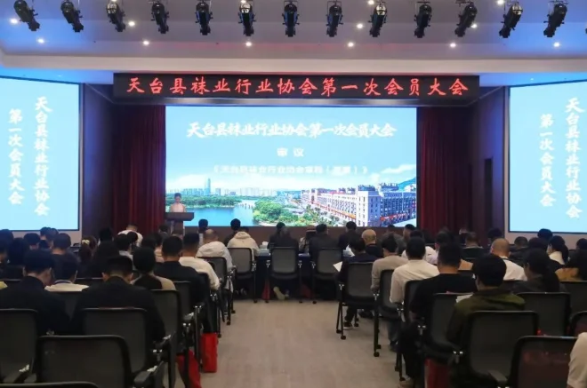 图片[1]-袜塞！正式“抱团出道”啦-华闻时空