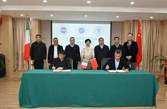 图片[1]-“成教出海”在意大利“落地破冰”！温州开放大学构建海外华侨教育新模式-华闻时空