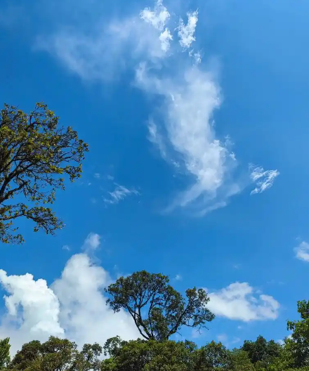 雨润禅心·诗韵黄檗——黄檗山万福寺谷雨雅集感怀-华闻时空