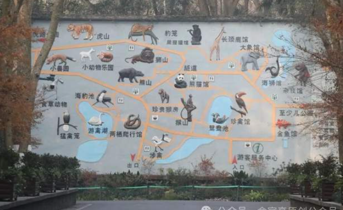 杭州动物园，春光无限好-华闻时空