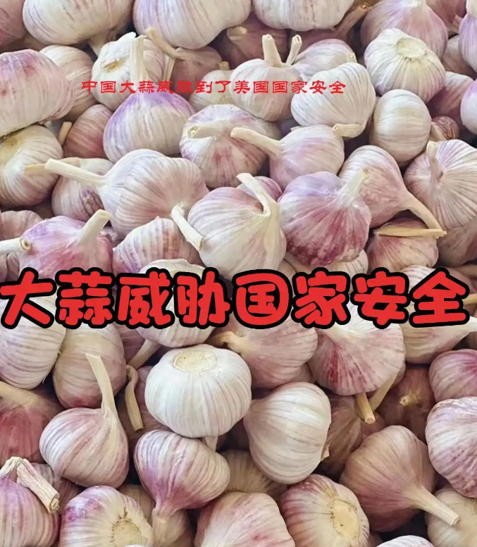 笑掉大牙！中国大蒜被美国列为“国家安全威胁”-华闻时空