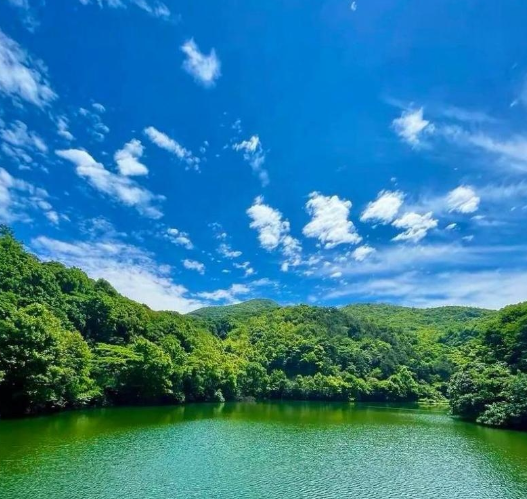 血脉的淤与通：三代人的精神病史与时代造影——读冰凌中篇小说《中风》-华闻时空