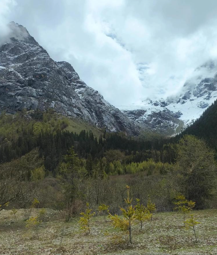桂清扬博士《长沙诗踪（四首）》-华闻时空