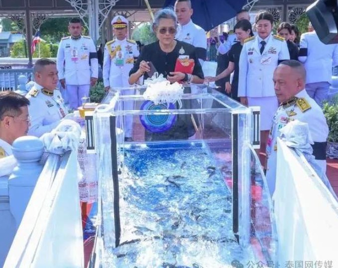 中国的“老朋友”诗琳通公主：生日快乐-华闻时空
