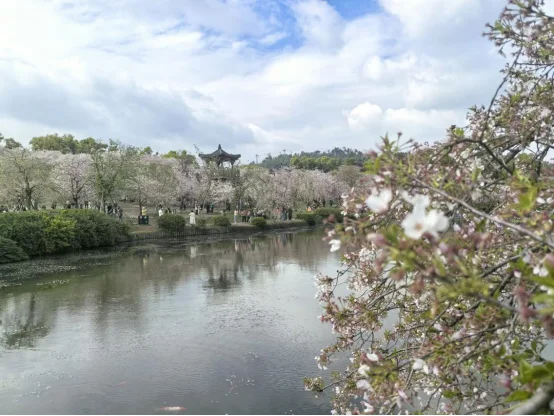 图片[1]-一江春水忆芳华，故城烟火待知音——“追梦中华·知音湖北”2026海外华文媒体荆楚采访行走进武汉-华闻时空