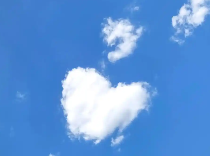《兄弟姐妹》看似讽刺个人的贪婪，实则透视了普遍的人性困境-华闻时空