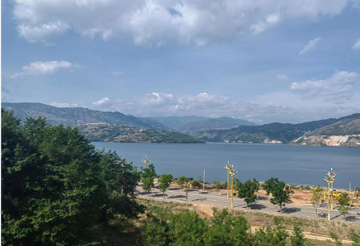 老树盈枝 (25)-华闻时空