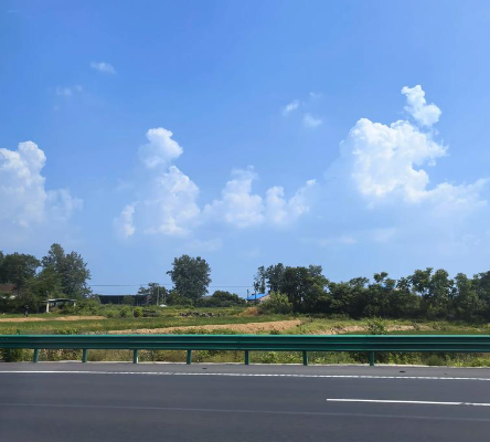 老树盈枝 （16）-华闻时空
