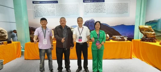 图片[3]-一带一路 侨助矿博 借侨出海华侨华人郴州行成功举办-华闻时空