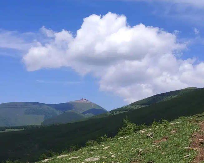 《马太哈》对“分寸”的精准把握：夸张而不失真幽默而不轻薄讽刺而含悲悯-华闻时空