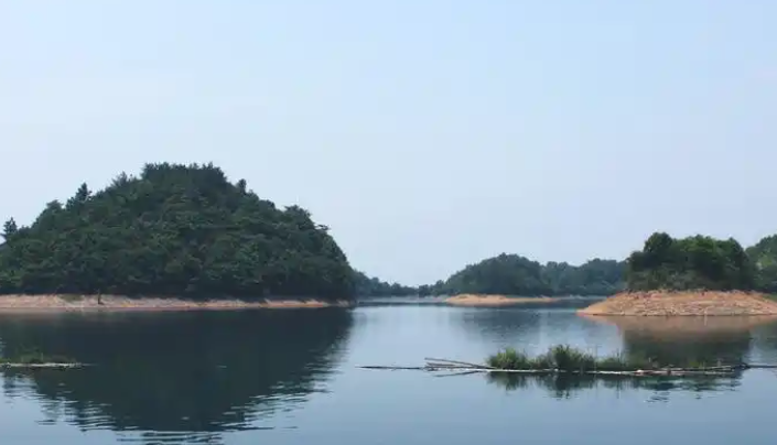 《代表团出国》集体性的谎言本身就构成对形式主义官僚主义的辛辣讽刺-华闻时空