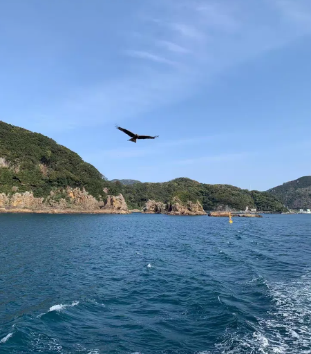 《望海》-华闻时空