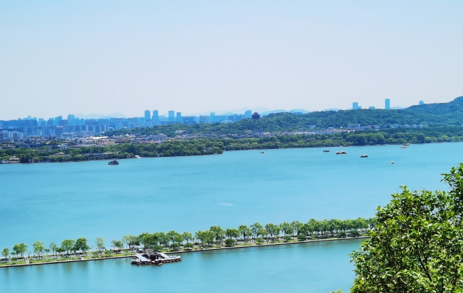 老树盈枝 (34)-华闻时空