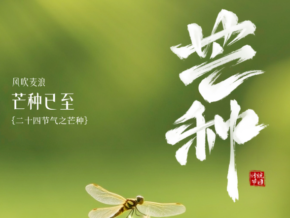 芒种-华闻时空