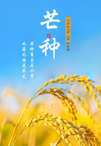 姜敏达诗歌欣赏：芒种-华闻时空