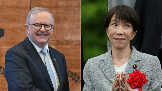 因为两个蜜瓜, 澳总理遭全网围攻: 必须立刻诚恳向日本道歉-华闻时空
