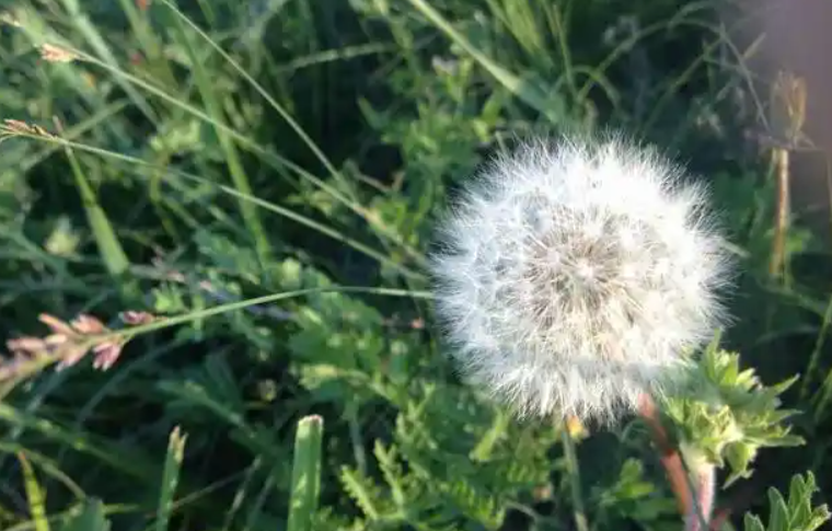 《暮年错爱》短视频连载剧本-华闻时空