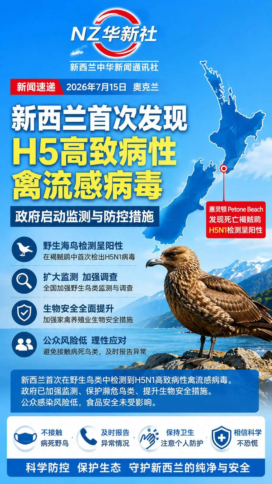 图片[1]-新西兰首次发现H5高致病性禽流感病毒 政府启动监测与防控措施-华闻时空