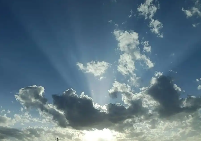 老树盈枝 (41)-华闻时空