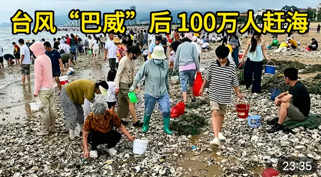 台风“巴威”后，百万万人赶海-华闻时空