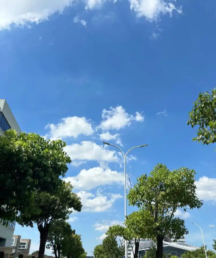 姜敏达诗歌欣赏:夏天-华闻时空