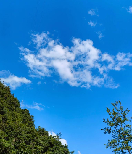 《我很想见见你》:越过人海拥抱你,是我不想认输的倔强-华闻时空