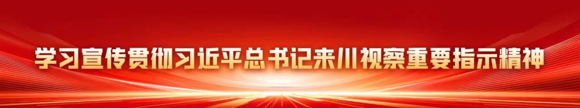 图片[3]-“中国梦是国家梦、民族梦，也是每个中华儿女的梦”——习近平总书记关于侨务工作的重要论述凝聚共同致力民族复兴的强大力量-华闻时空