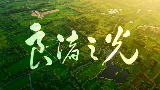 历史文化名城丨用年轻态的音乐风格诠释五千年文明的血脉传承 歌曲《良渚之光》发布-华闻时空