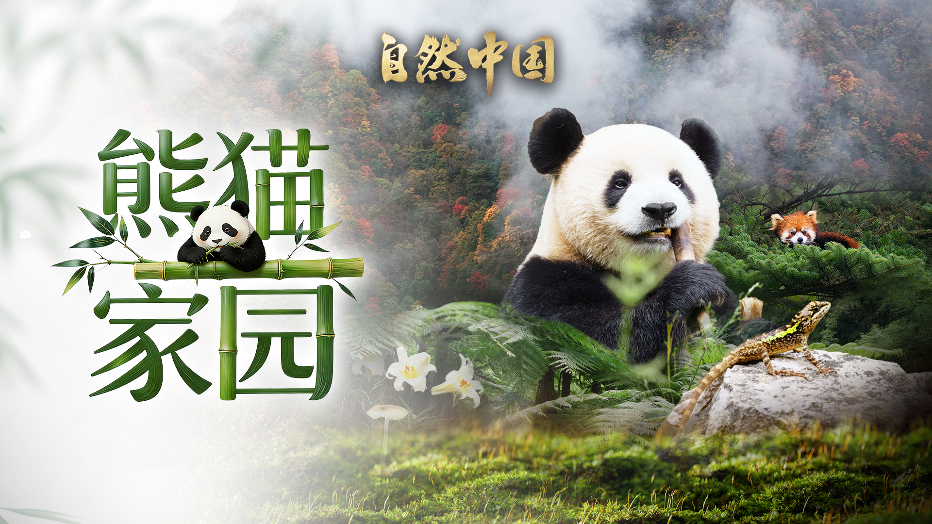 中国电视-《自然中国》之《熊猫家园》-华闻时空