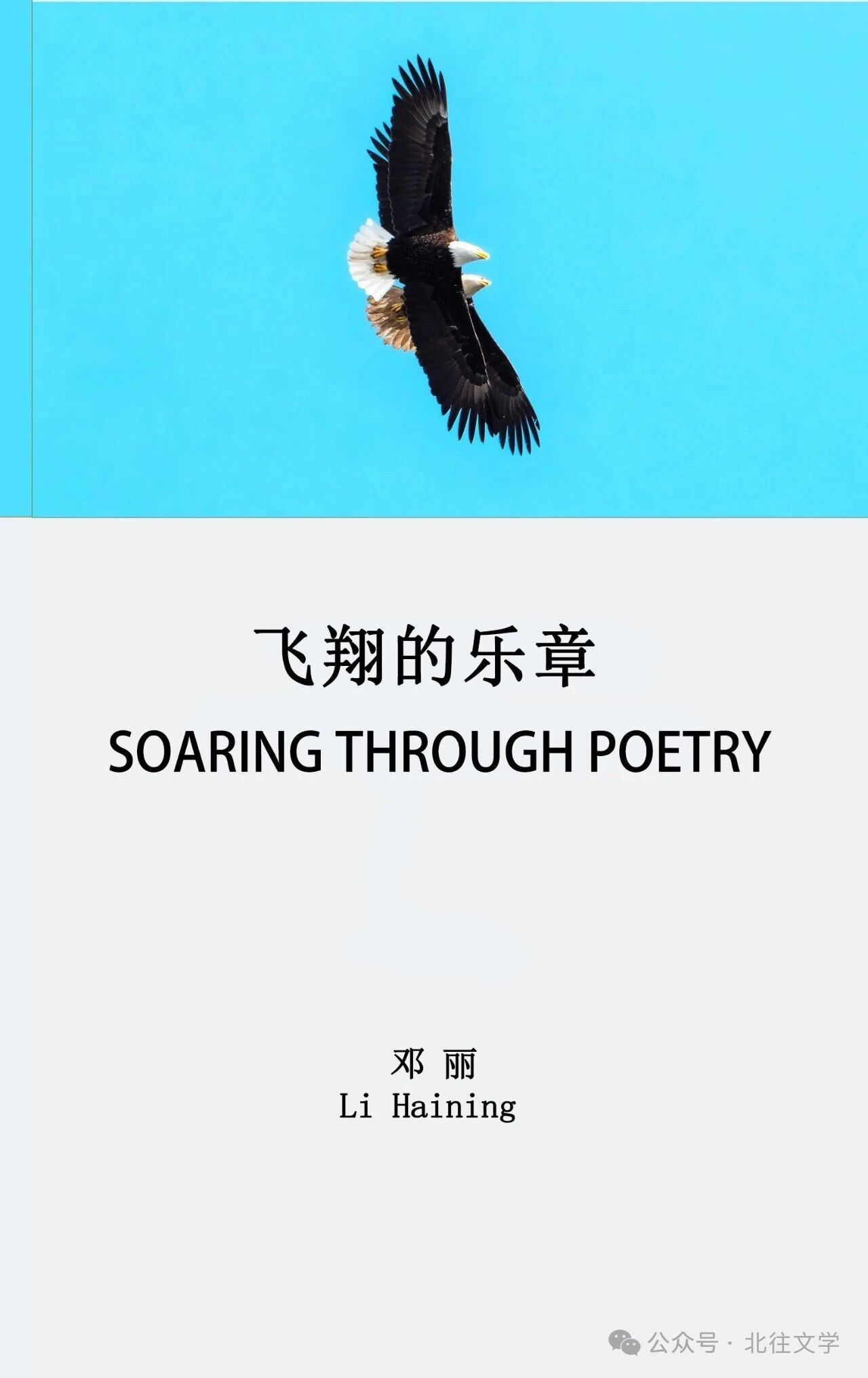 北往文学 | 郑南川（述评系列十二）：做读写天空的诗人（原载邓丽《飞翔的乐章》）（附：心漫述评）-华闻时空
