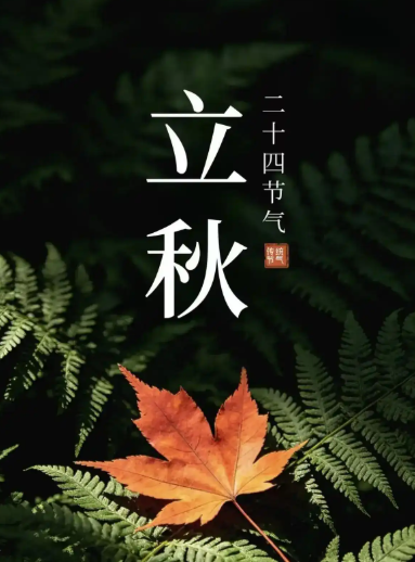 立秋-华闻时空