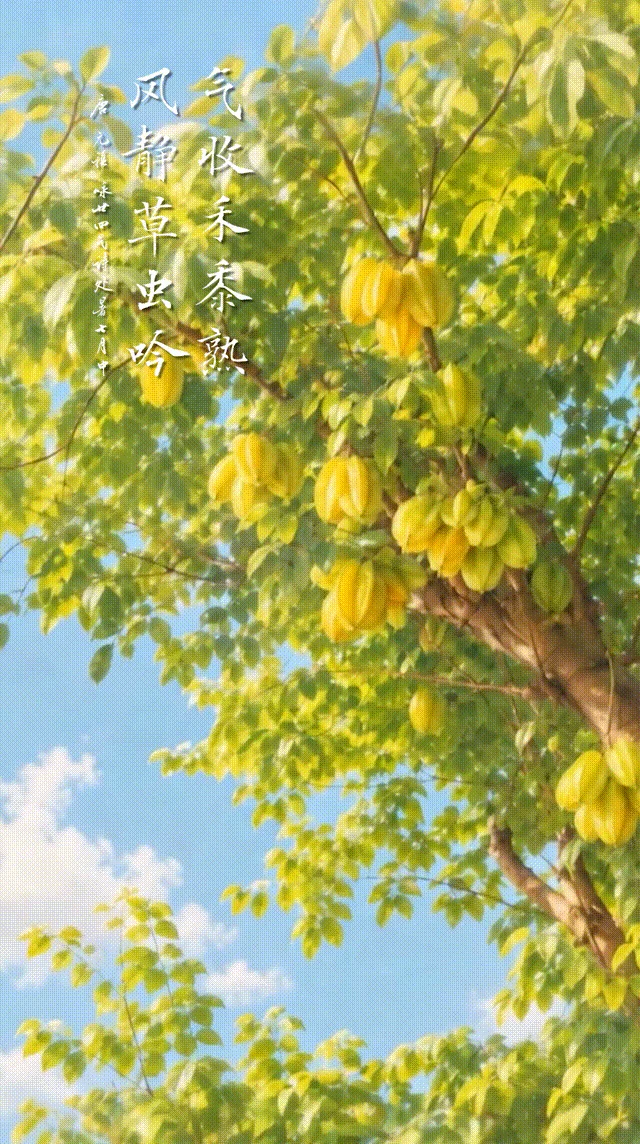 图片[2]-人间好时节丨处暑：四时俱可喜 最好新秋时-华闻时空