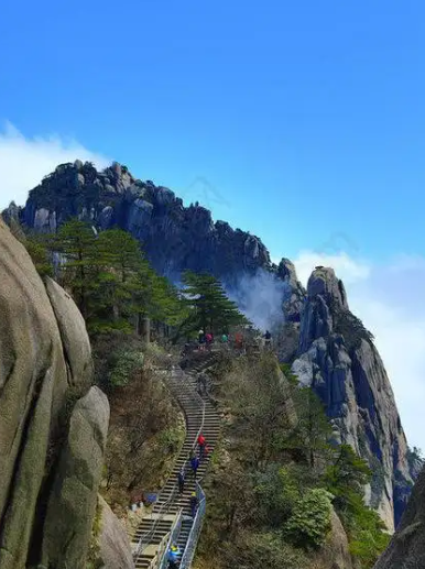 老树盈枝 (78)-华闻时空