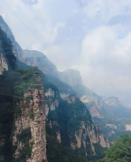 老树盈枝 (8 2)-华闻时空