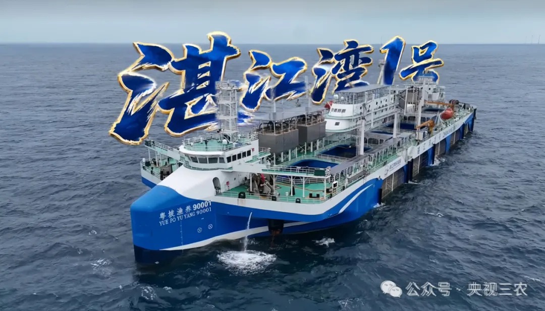2026年总台丰晚来了!多地联动绘就金秋“丰收大片”-华闻时空