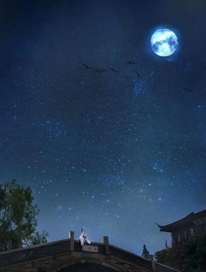 姜敏达诗歌欣赏:《秋夜》(外二首)-华闻时空