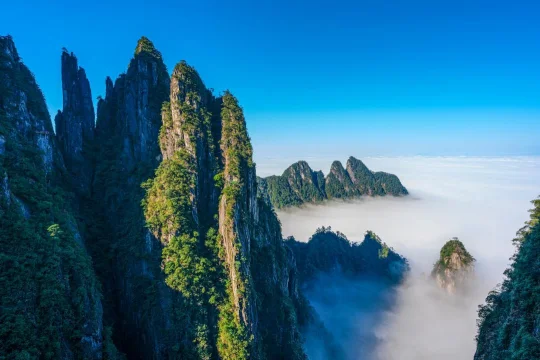 图片[1]-从“苦游”到“畅游” 郴州莽山“无障碍革命”引客来-华闻时空