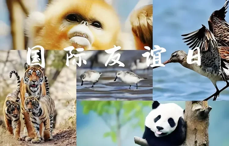 图片[1]-褚成炎｜国友赋/《国友赋》解析：千年邦交之道的赋体书写与当代升华-华闻时空