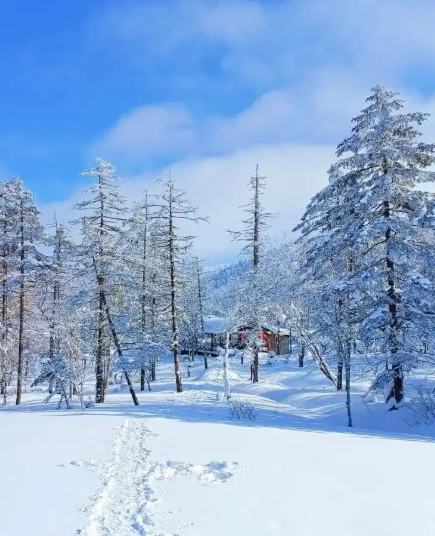 冰雪赴华章-华闻时空