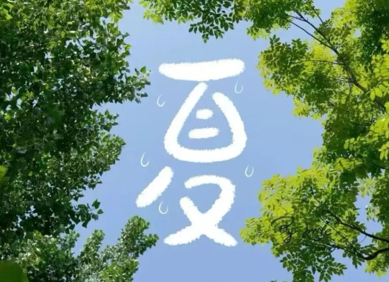 《夏》-华闻时空