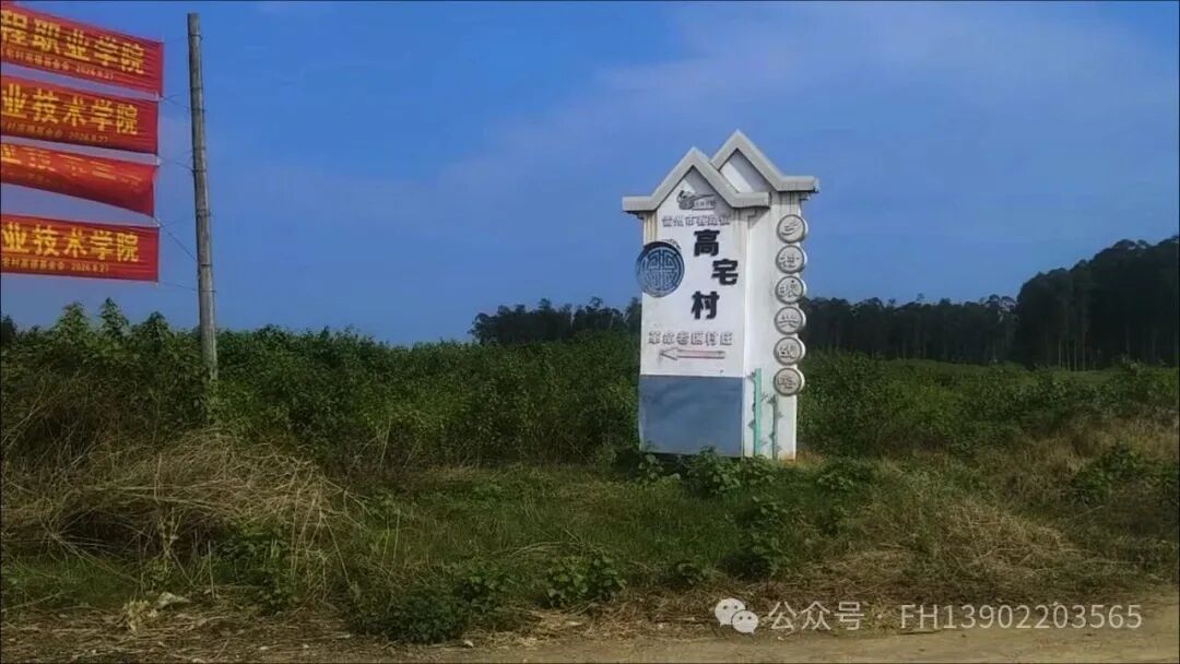 广东雷州:3400亩土地分配争议14年悬而未决?-华闻时空